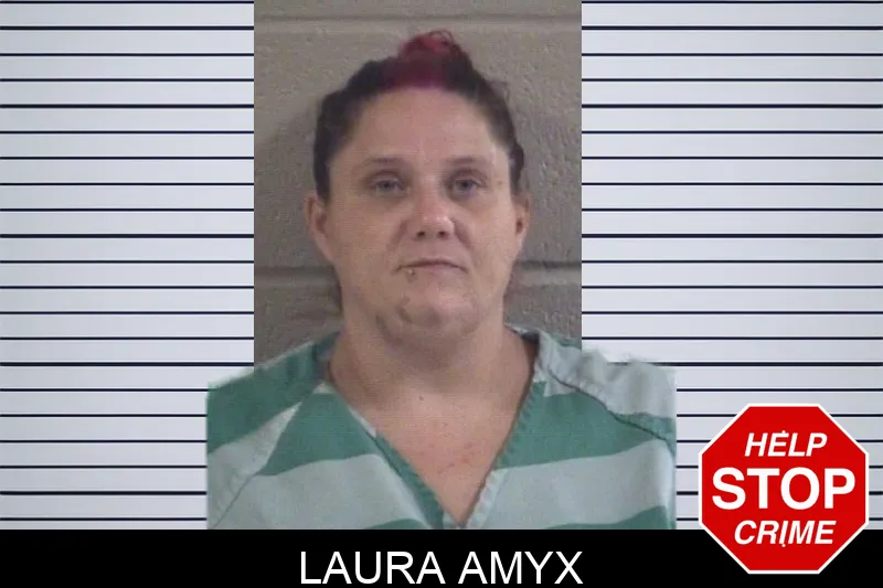 Laura Amyx mugshot – Whitfield County , Georgia Laura Amyx mugshot
