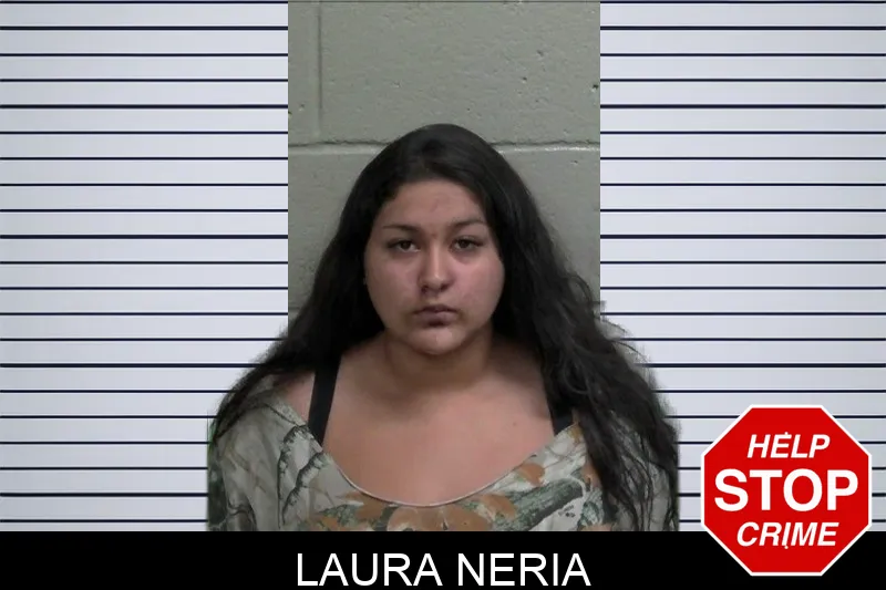 Laura Neria mugshot – Wayne County , Georgia Laura Neria mugshot