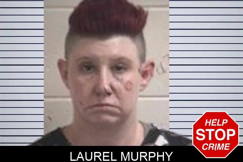 Laurel Murphy mugshot – Henry County , Georgia Laurel Murphy mugshot