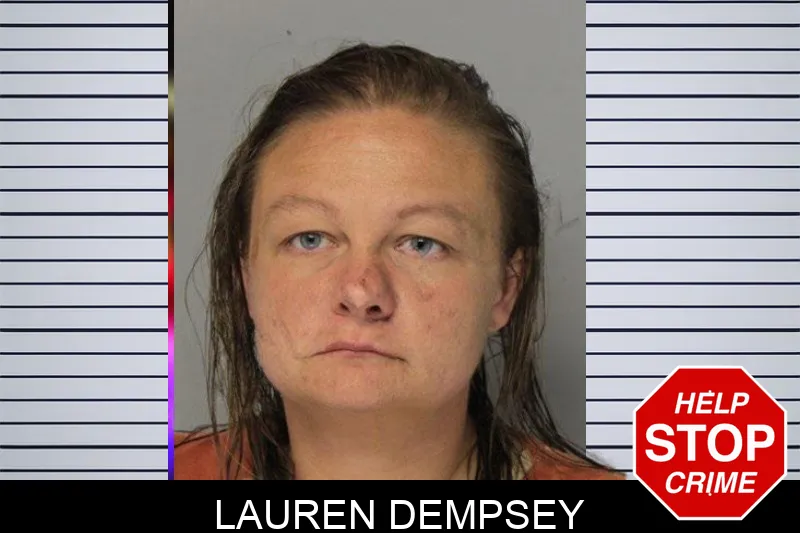 Lauren Dempsey mugshot – Hall County , Georgia Lauren Dempsey mugshot