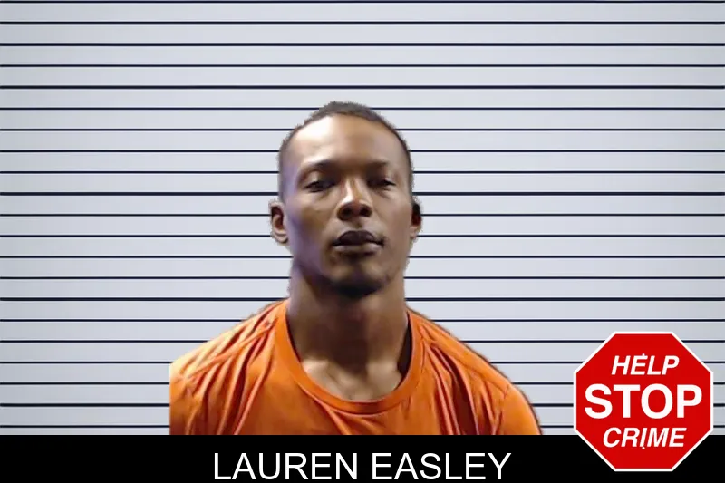 Lauren Easley mugshot – DeKalb County , Georgia Lauren Easley mugshot