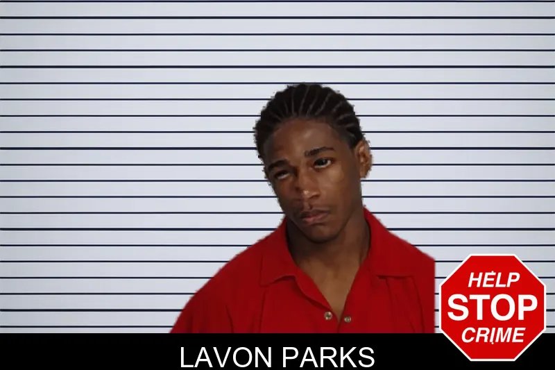 Lavon Parks mugshot – Rockdale County , Georgia Lavon Parks mugshot