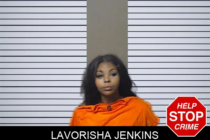 Lavorisha Jenkins mugshot – DeKalb County , Georgia Lavorisha Jenkins mugshot