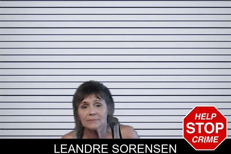 Leandre Sorensen mugshot