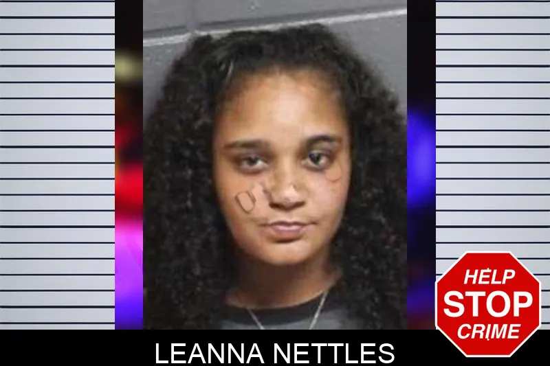 Leanna Nettles mugshot – Bacon County , Georgia Leanna Nettles mugshot