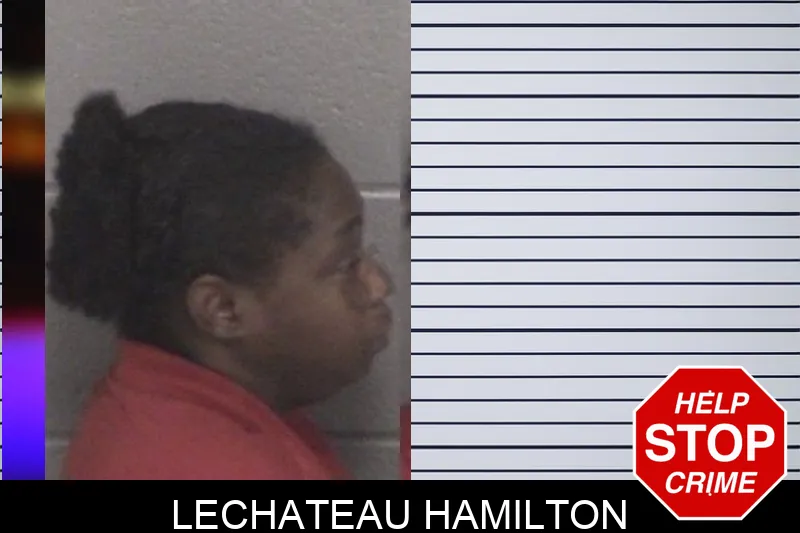 Lechateau Hamilton mugshot – Barrow County , Georgia Lechateau Hamilton mugshot