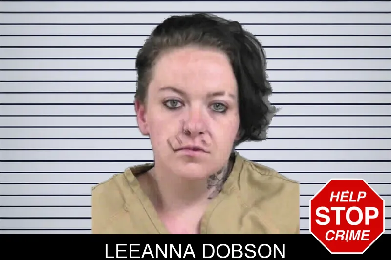 Leeanna Dobson mugshot – Gordon County , Georgia Leeanna Dobson mugshot