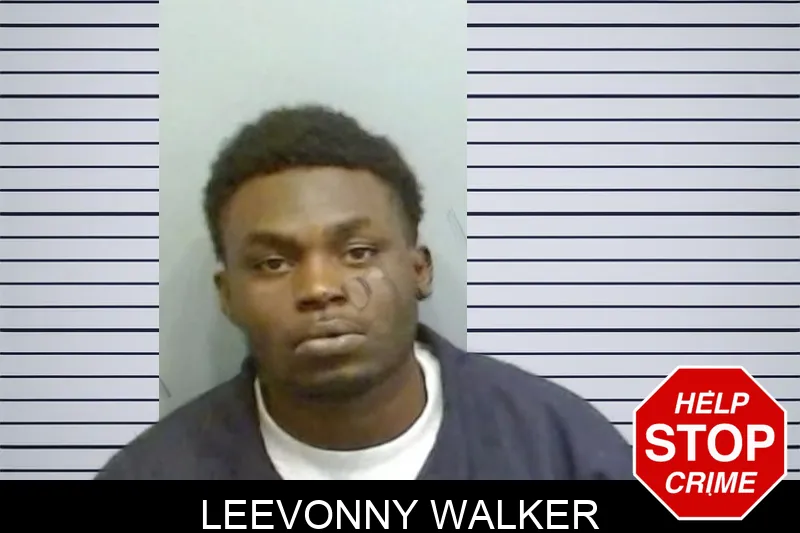 Leevonny Walker mugshot – Fulton County , Georgia Leevonny Walker mugshot