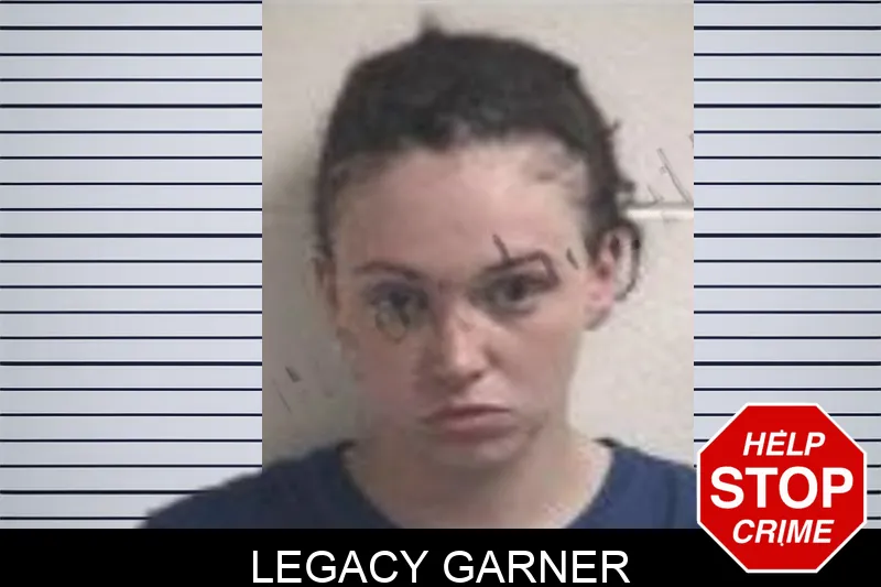 Legacy Garner mugshot – Henry County , Georgia Legacy Garner mugshot
