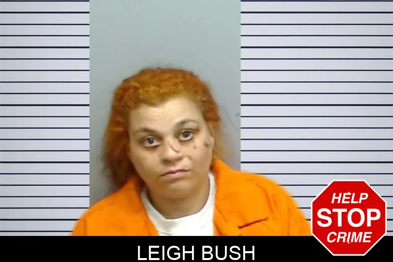 Leigh Bush mugshot