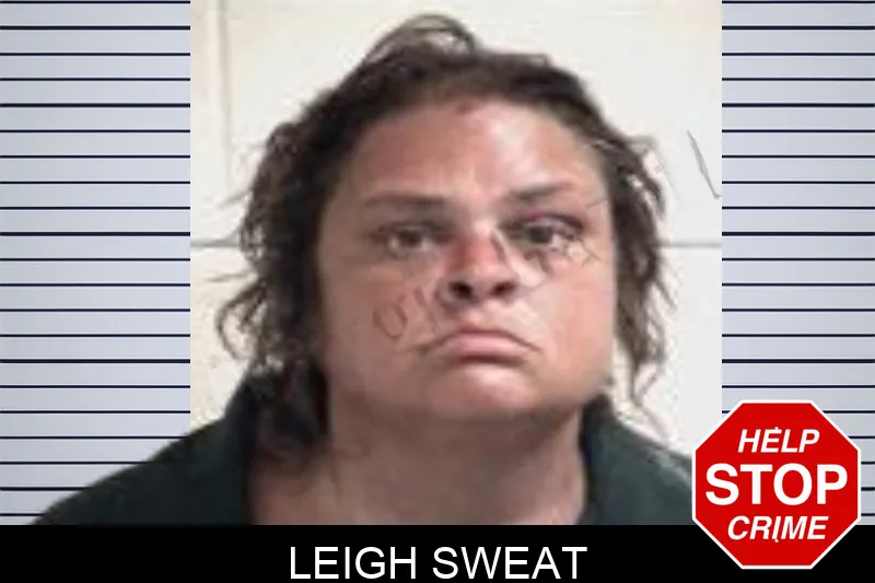 Leigh Sweat mugshot – Henry County , Georgia Leigh Sweat mugshot
