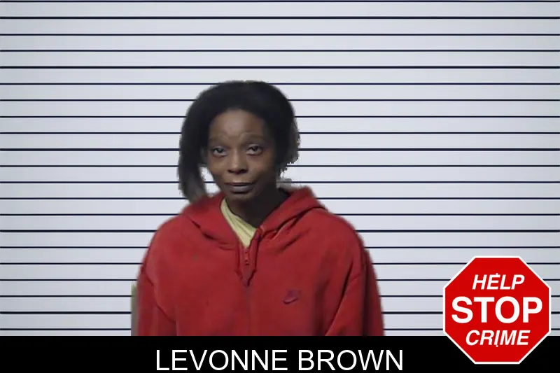 Levonne Brown mugshot – DeKalb County , Georgia Levonne Brown mugshot