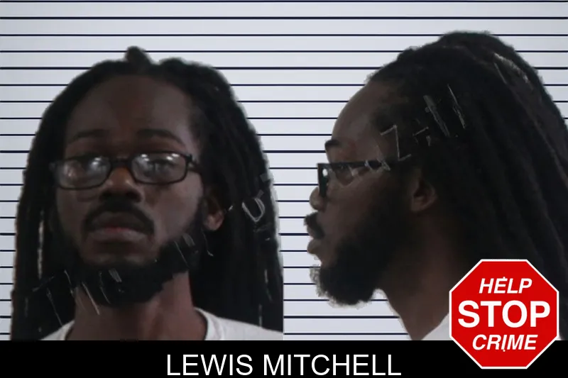 Lewis Mitchell mugshot – Houston County , Georgia Lewis Mitchell mugshot