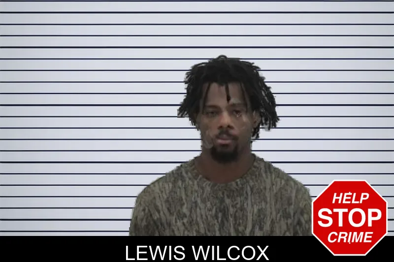 Lewis Wilcox mugshot