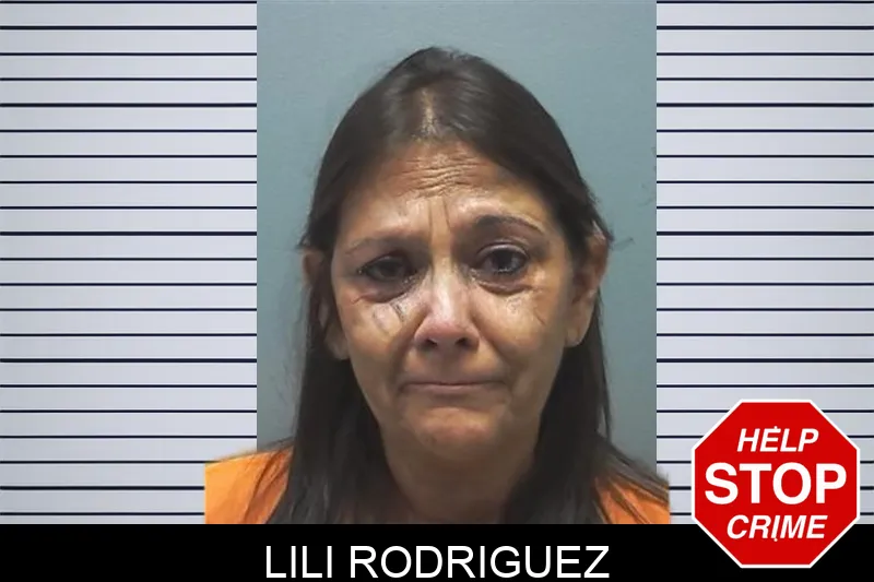 Lili Rodriguez mugshot