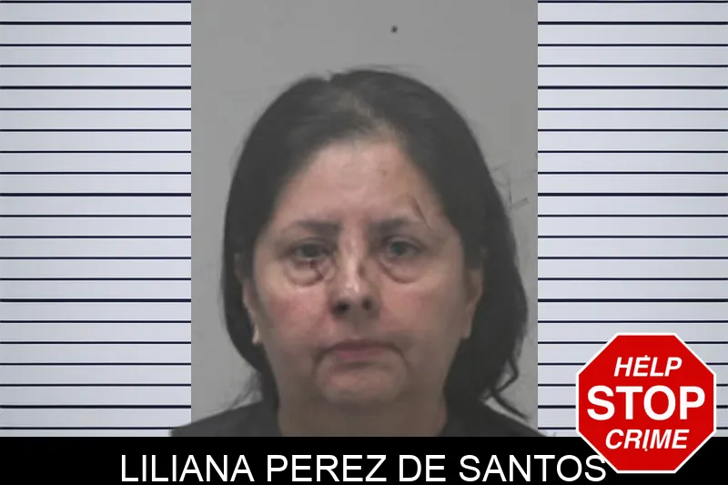 Liliana Perez De Santos mugshot