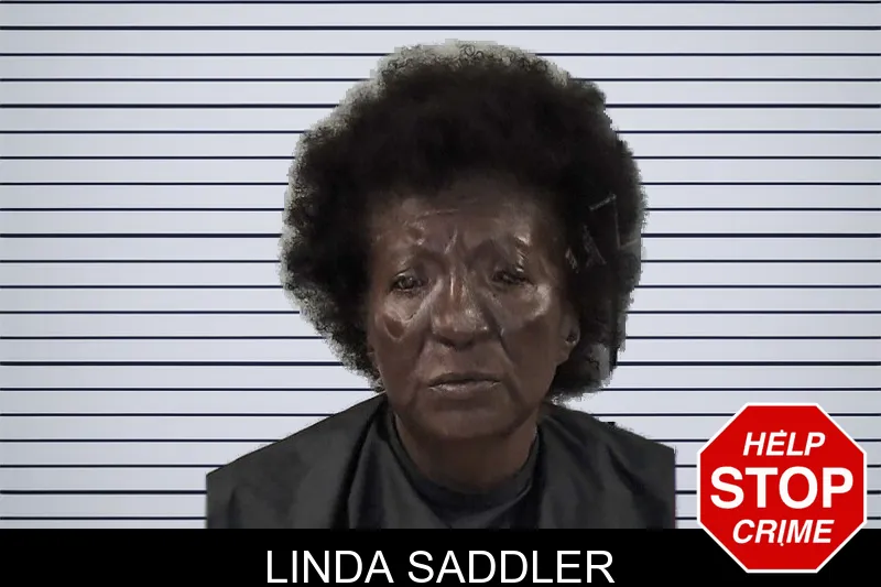 Linda Saddler mugshot