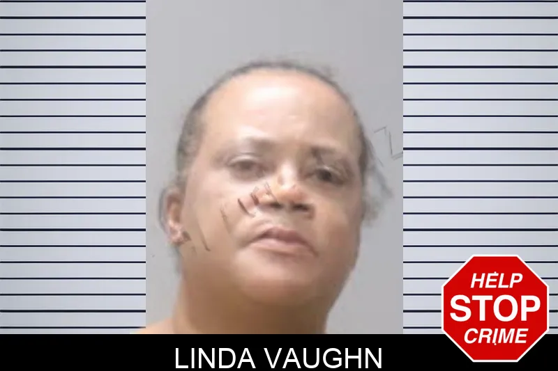 Linda Vaughn mugshot