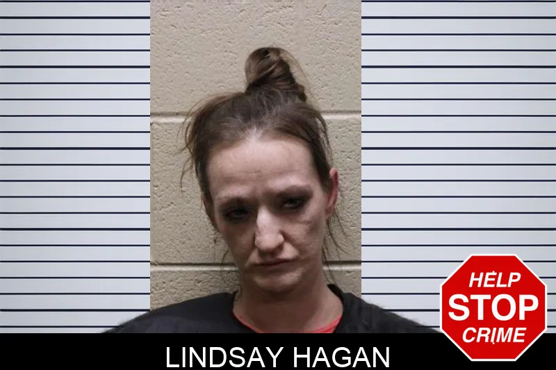 Lindsay Hagan mugshot