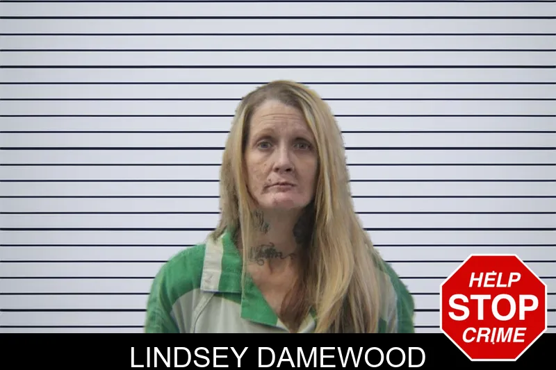 Lindsey Damewood mugshot – Stephens County , Georgia Lindsey Damewood mugshot
