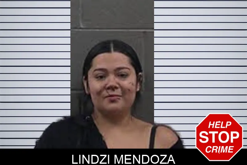Lindzi Mendoza mugshot