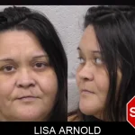 Lisa Arnold mugshot