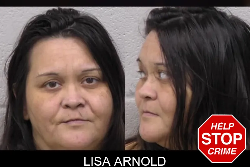 Lisa Arnold mugshot – Paulding County , Georgia Lisa Arnold mugshot