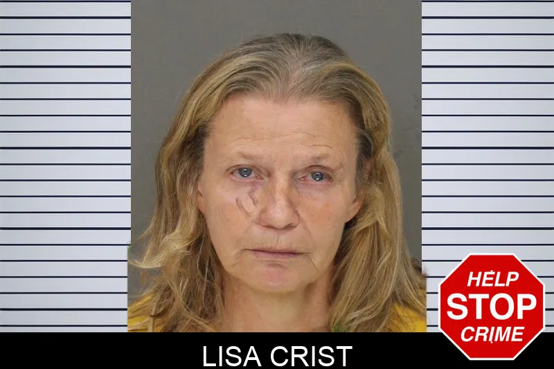 Lisa Crist mugshot – Cobb County , Georgia Lisa Crist mugshot