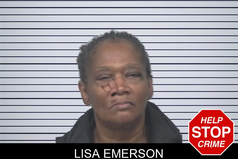 Lisa Emerson mugshot – Gwinnett County , Georgia Lisa Emerson mugshot