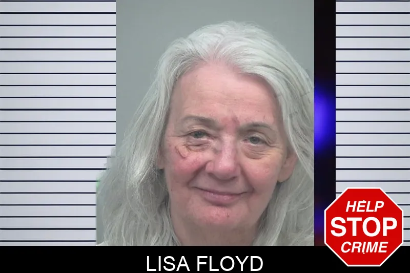 Lisa Floyd mugshot – Gwinnett County , Georgia Lisa Floyd mugshot