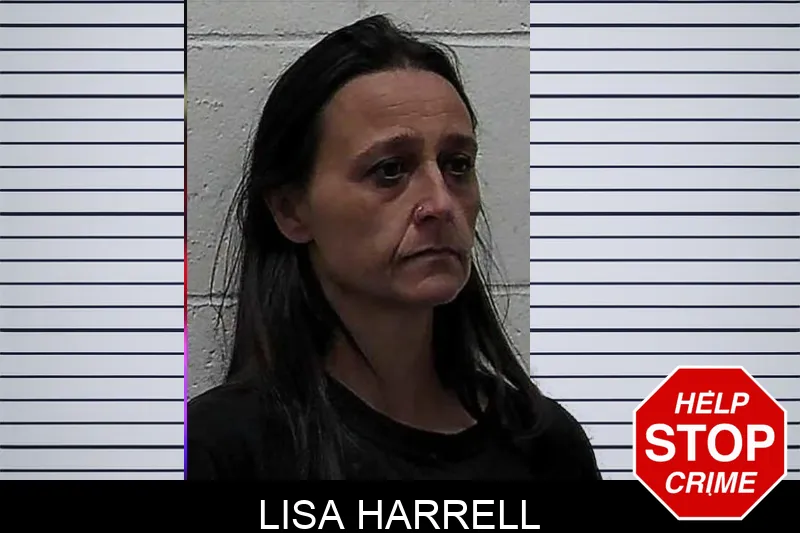 Lisa Harrell mugshot