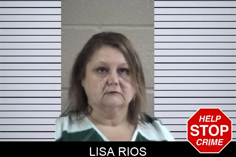 Lisa Rios mugshot – Whitfield County , Georgia Lisa Rios mugshot