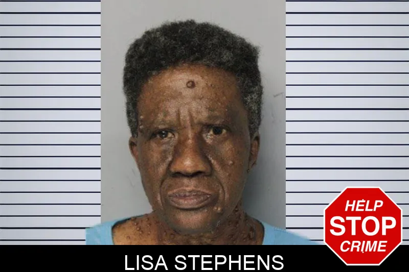 Lisa Stephens mugshot – Hall County , Georgia Lisa Stephens mugshot