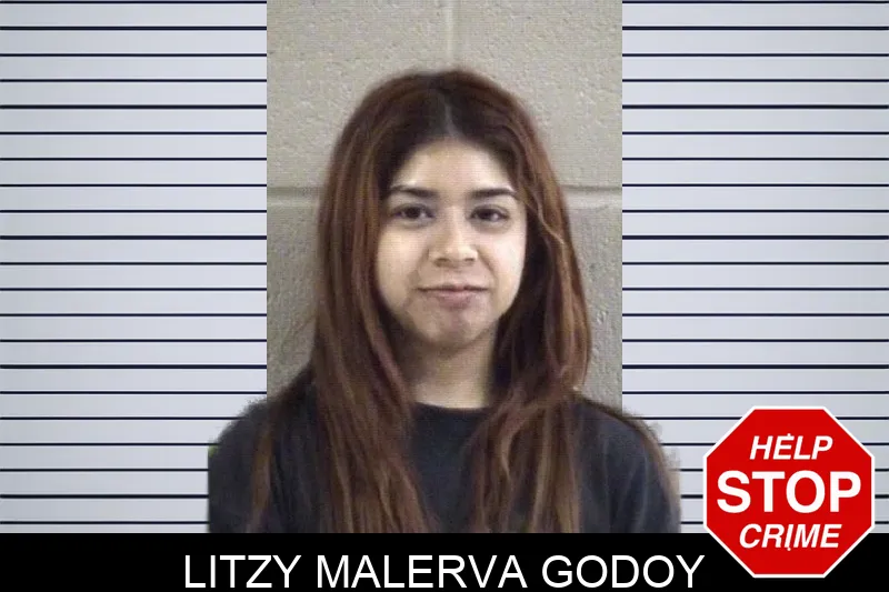 Litzy Malerva Godoy mugshot