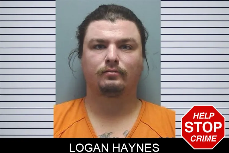 Logan Haynes mugshot – Cherokee County , Georgia Logan Haynes mugshot