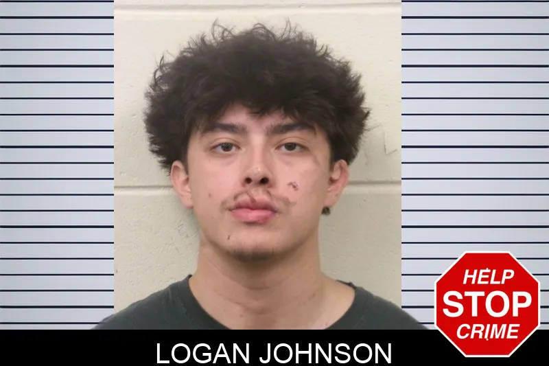 Logan Johnson mugshot – Bulloch County , Georgia Logan Johnson mugshot