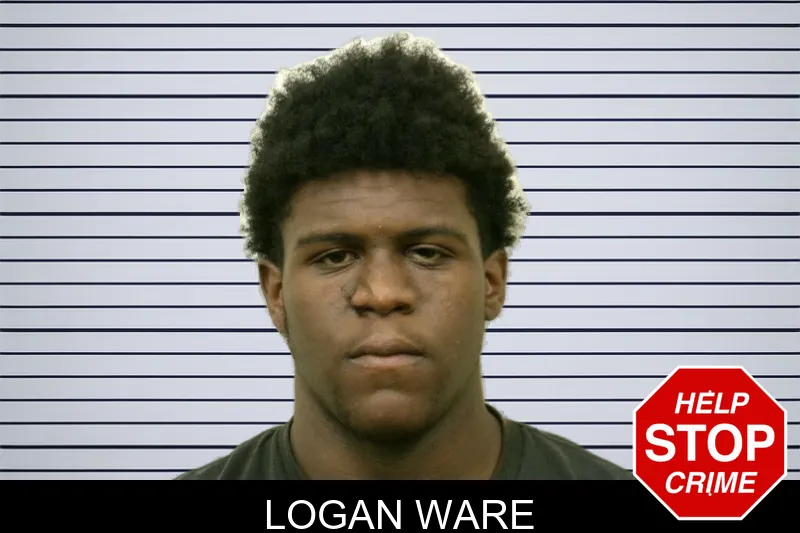 Logan Ware mugshot – Bulloch County , Georgia Logan Ware mugshot