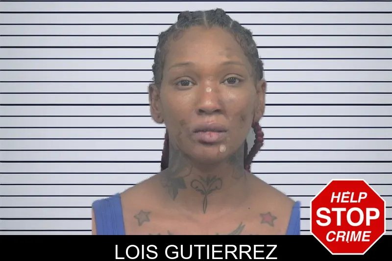Lois Gutierrez mugshot – Gwinnett County , Georgia Lois Gutierrez mugshot