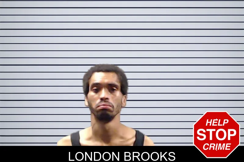 London Brooks mugshot – DeKalb County , Georgia London Brooks mugshot
