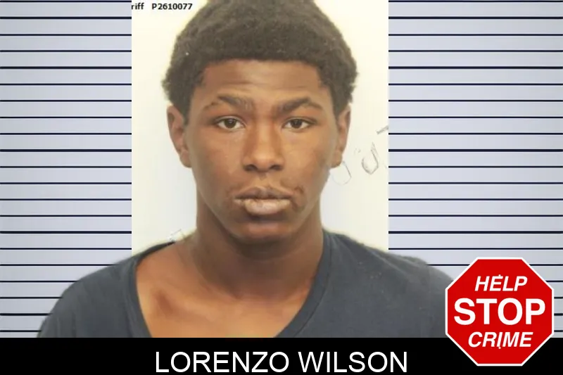 Lorenzo Wilson mugshot – Chatham County , Georgia Lorenzo Wilson mugshot