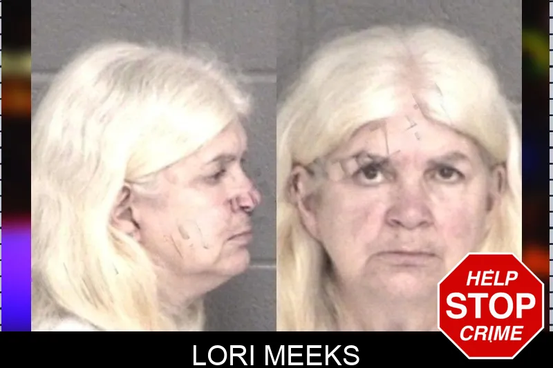 Lori Meeks mugshot
