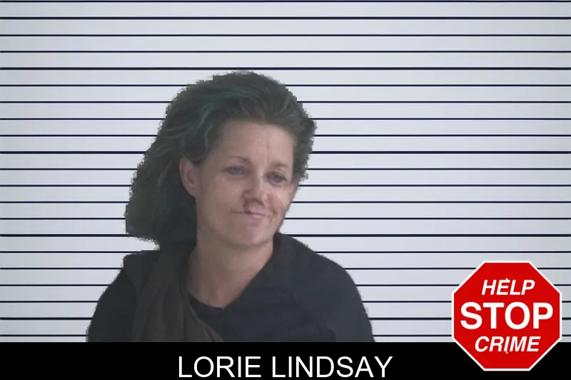Lorie Lindsay mugshot – Brantley County , Georgia Lorie Lindsay mugshot