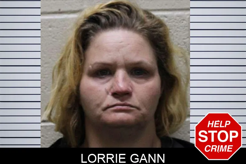 Lorrie Gann mugshot – Haralson County , Georgia Lorrie Gann mugshot