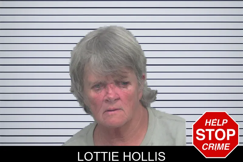 Lottie Hollis mugshot