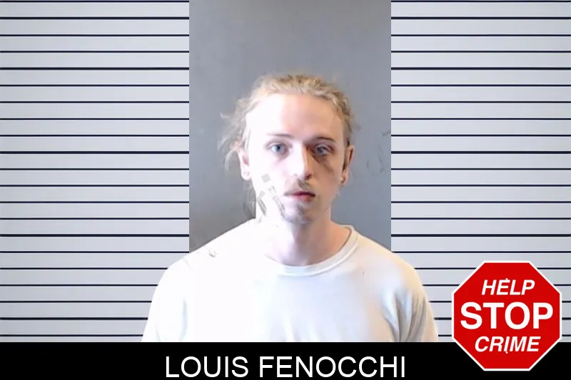 Louis Fenocchi mugshot