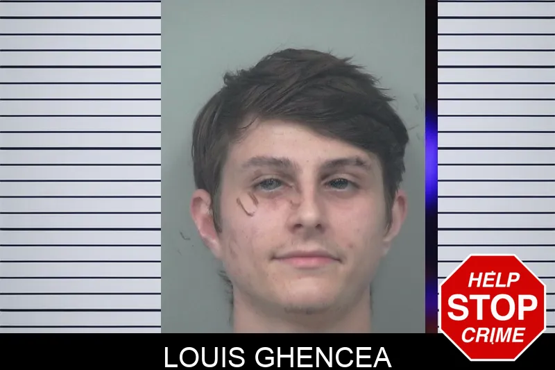Louis Ghencea mugshot – Gwinnett County , Georgia Louis Ghencea mugshot