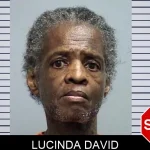 Lucinda David mugshot – Effingham County , Georgia Lucinda David mugshot