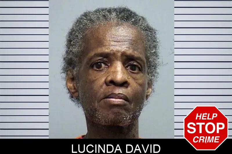 Lucinda David mugshot – Effingham County , Georgia Lucinda David mugshot