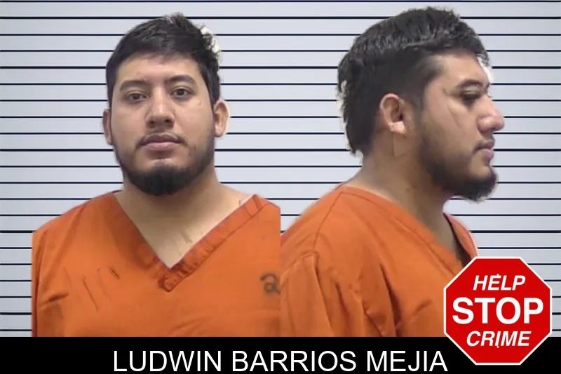Ludwin Barrios Mejia mugshot