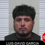 Luis-David Garcia mugshot